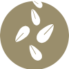 Granos de sésamo - Sesame grains