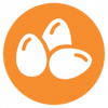Huevos
